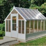 A Gardener’s Haven: Everything You Need to Know About Building a DIY Greenhouse